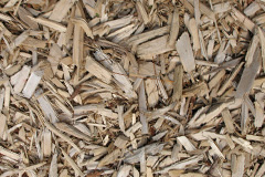 biomass boilers Roe